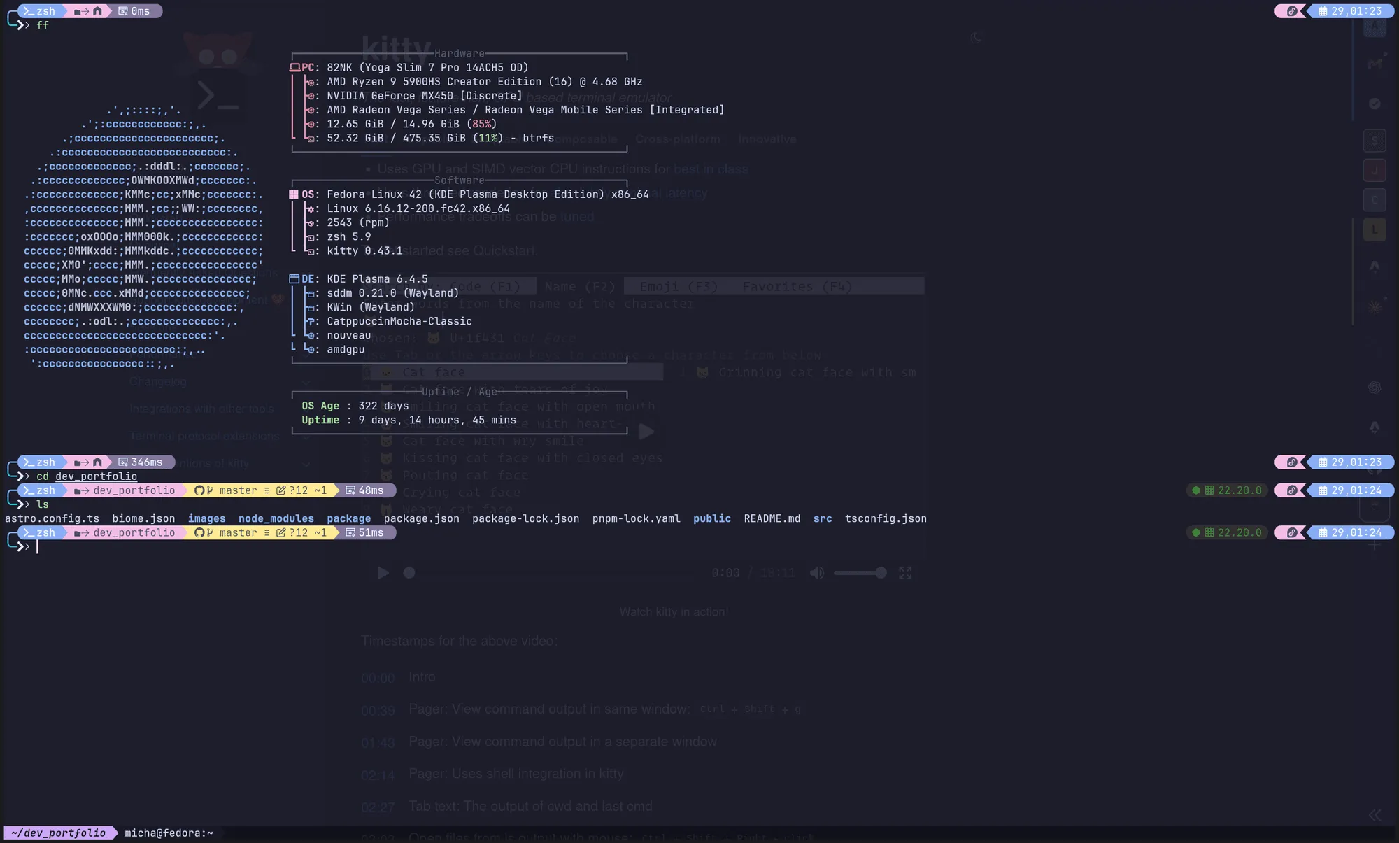 kitty terminal emulator